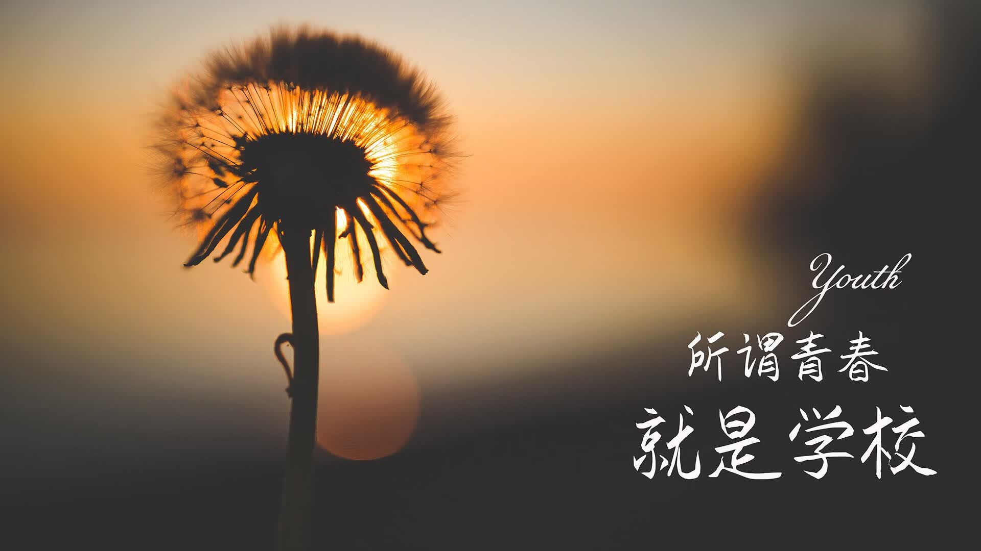 柴油发电机接头怎么接线（柴油发电机接线的正确方法）