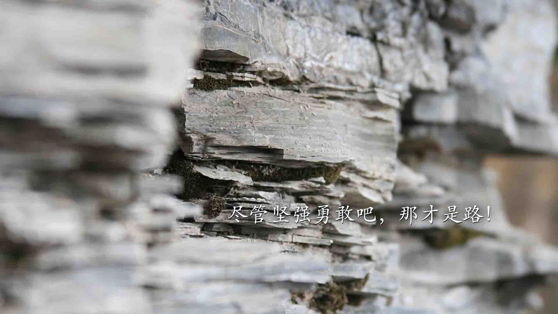 500千瓦发电机组价格表（500千瓦发电机组价格表最新）